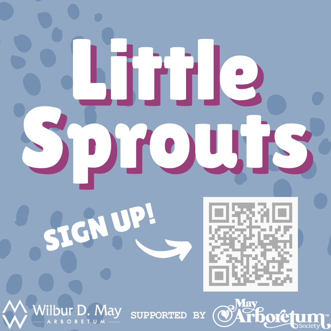 Square flyer for event with title that says "Little Sprouts", a QR code for sign up, and the logos of the May Arboretum and May Arboretum Society